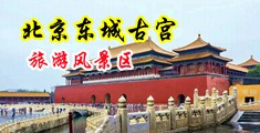 男生女生插插插很疼免费网站中国北京-东城古宫旅游风景区